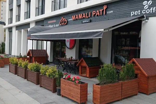 Gözlüklü Petshop - Resim 17