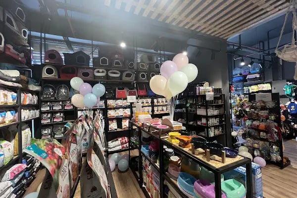 Gözlüklü Petshop - Resim 16