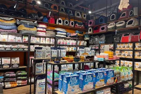 Gözlüklü Petshop - Resim 8