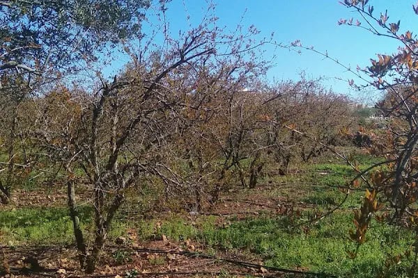 Güzelyurt Mahalle Parkı - Resim 8