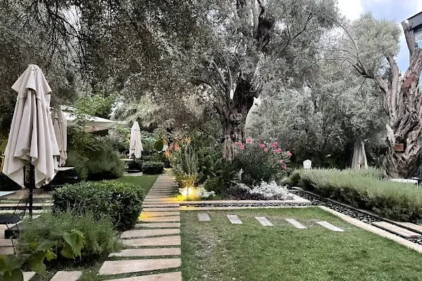 Zai Yaşam Bodrum - Resim 4