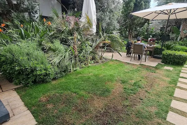 Zai Yaşam Bodrum - Resim 6