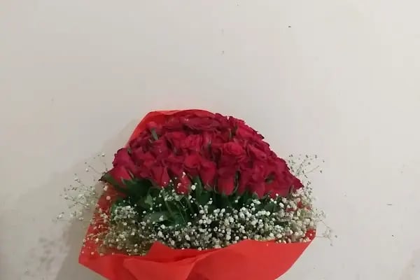 Angora Çiçekçilik - Resim 13