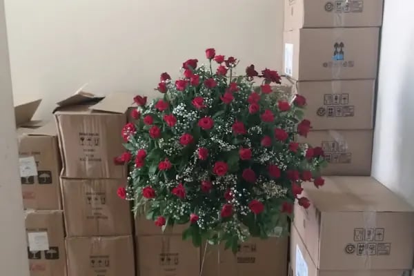 Angora Çiçekçilik - Resim 12