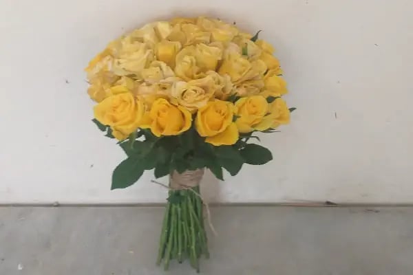 Angora Çiçekçilik - Resim 3