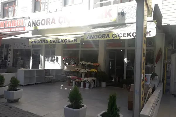 Angora Çiçekçilik - Resim 2