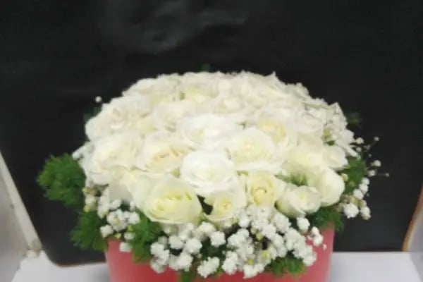 Angora Çiçekçilik - Resim 20