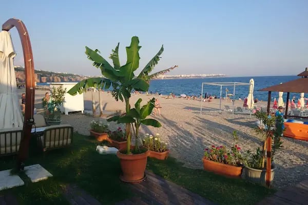 ALOHA FALEZ BEACH - Resim 6