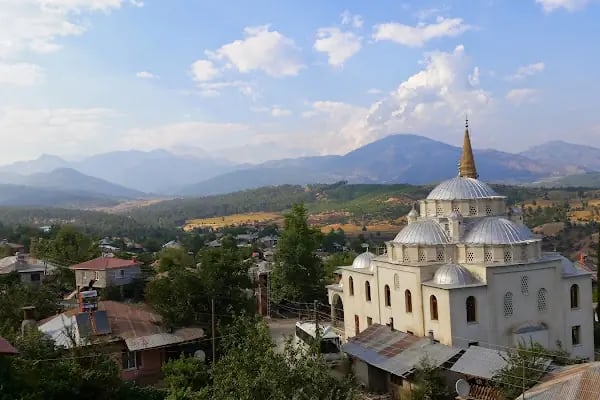 Gerdibi Köyü Cami - Resim 10