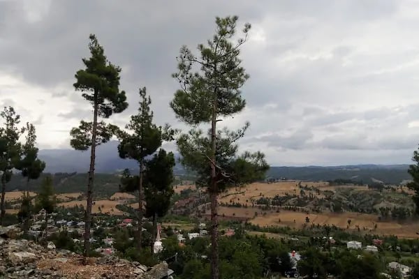 Gerdibi Köyü Cami - Resim 3
