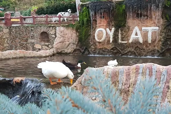Oylat Köy Konagı Butik Otel - Resim 11