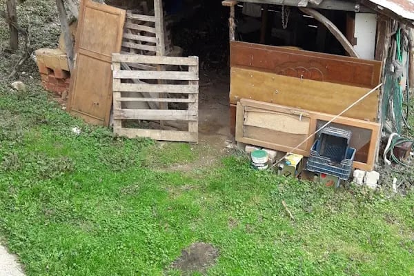 Oylat Köy Konagı Butik Otel - Resim 15