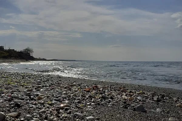 Kocaali Kadınlar Plajı - Resim 10