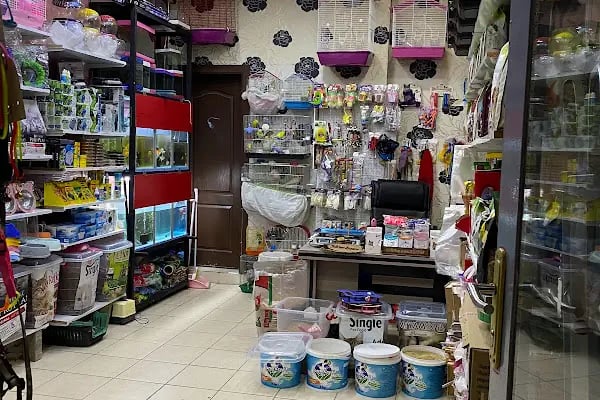 Çambaşı petshop - Resim 8