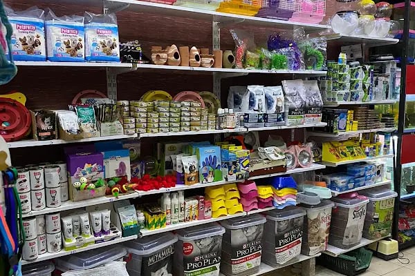 Çambaşı petshop - Resim 10