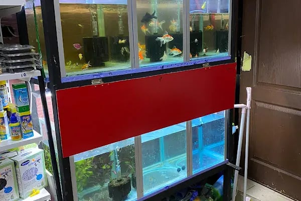 Çambaşı petshop - Resim 17