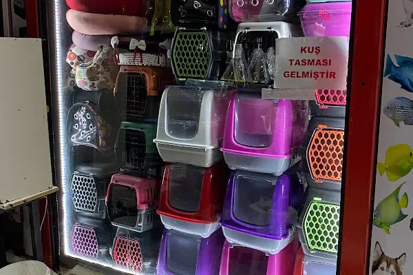 Çambaşı petshop - Resim 5