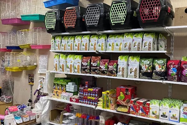 Çambaşı petshop - Resim 16