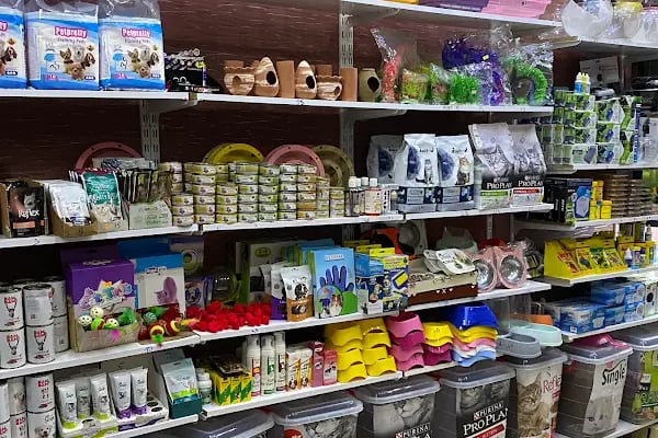 Çambaşı petshop - Resim 2