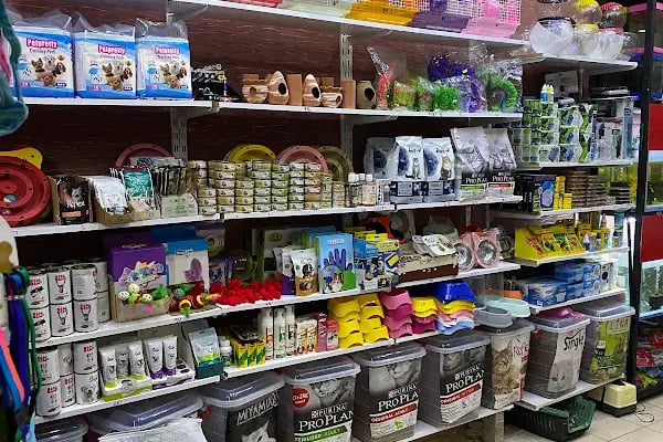 Çambaşı petshop - Resim 12