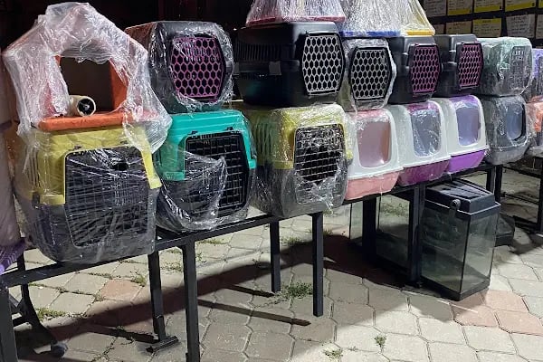 Çambaşı petshop - Resim 15