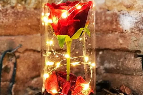 Hediye köşkü hediyelik taki - Resim 6