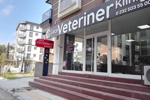 Gece Veteriner Kliniği - Resim 2