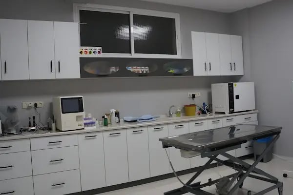Gece Veteriner Kliniği - Resim 19