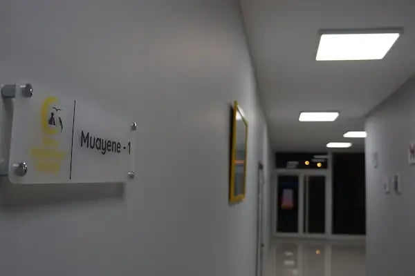 Gece Veteriner Kliniği - Resim 8