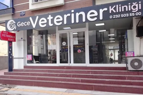 Gece Veteriner Kliniği - Resim 1