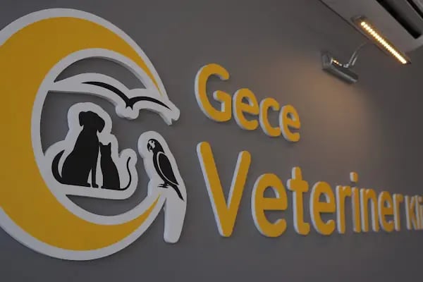 Gece Veteriner Kliniği - Resim 13