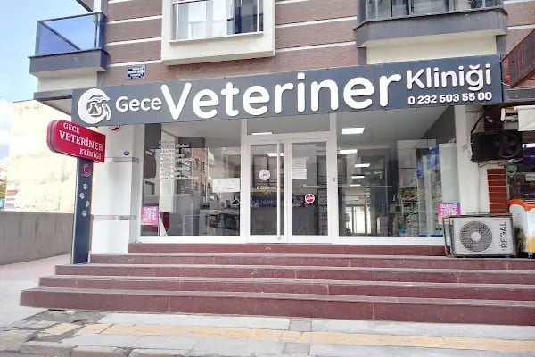 Gece Veteriner Kliniği - Resim 16