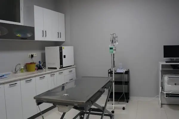 Gece Veteriner Kliniği - Resim 3
