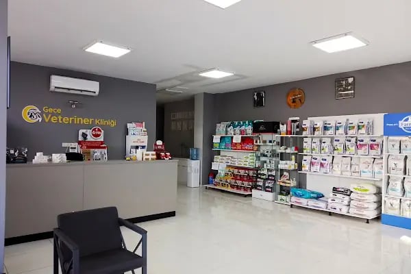 Gece Veteriner Kliniği - Resim 4