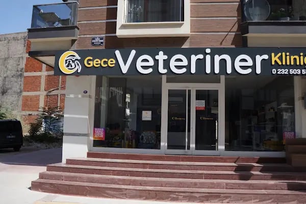 Gece Veteriner Kliniği - Resim 12