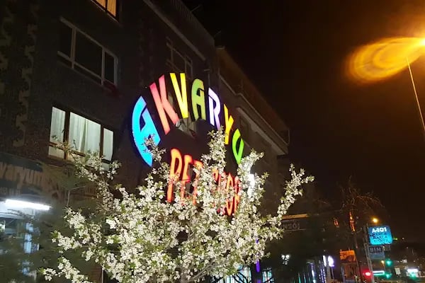 Dünya Akvaryum pet shop - Resim 8
