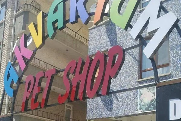 Dünya Akvaryum pet shop - Resim 2