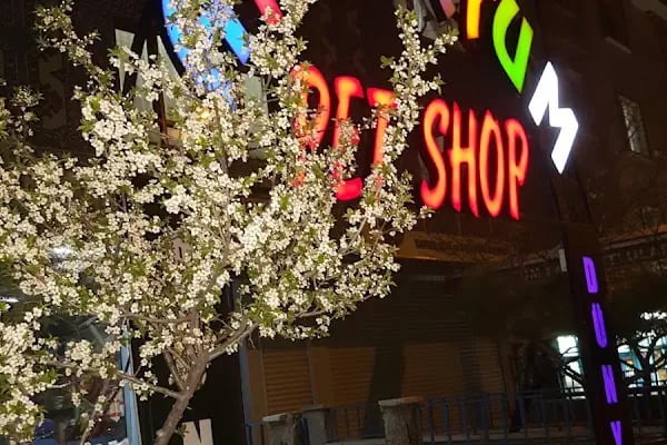 Dünya Akvaryum pet shop - Resim 9