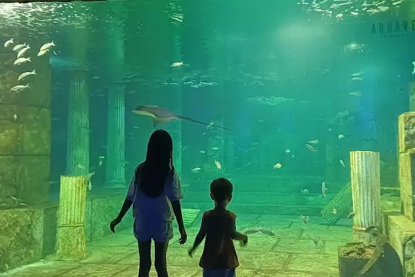 Dünya Akvaryum pet shop - Resim 7