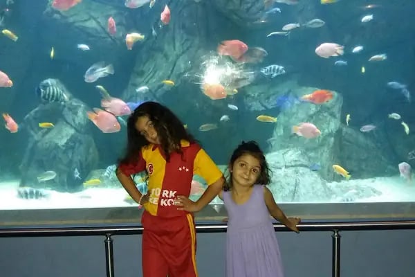 Dünya Akvaryum pet shop - Resim 15