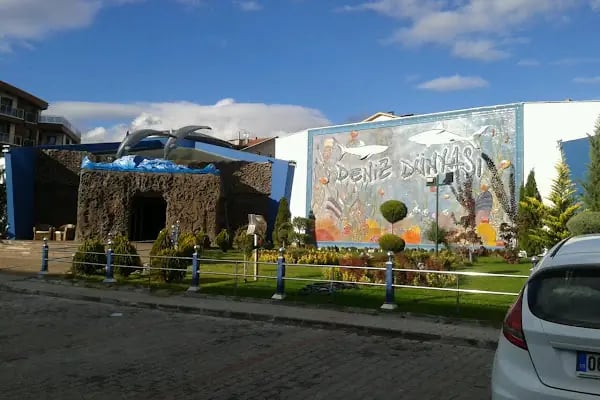Dünya Akvaryum pet shop - Resim 20