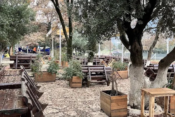 Abacı At Çiftliği - Resim 8