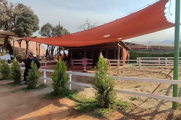 Abacı At Çiftliği - Resim 5