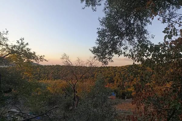 Ultimate Büyükada - Resim 2