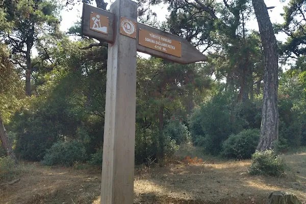 Ultimate Büyükada - Resim 6