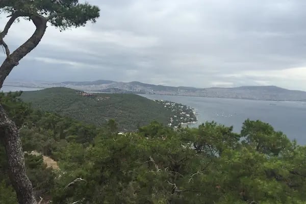 Ultimate Büyükada - Resim 4