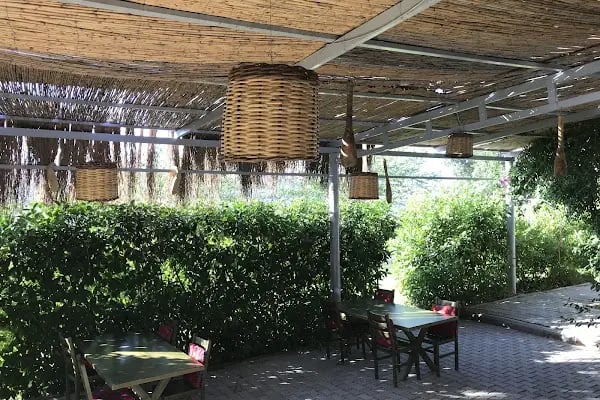 Yarbasan Restaurant - Resim 7