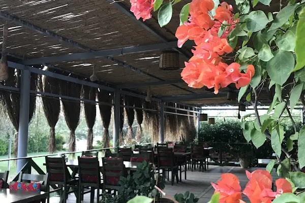 Yarbasan Restaurant - Resim 17