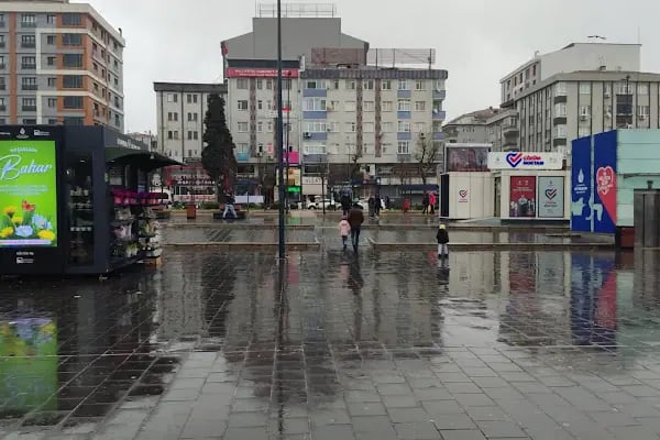 İstanbul Çiçekleri - Bağcılar - Resim 2