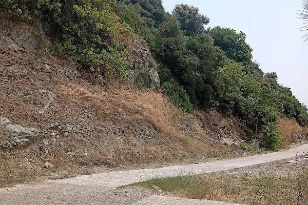 Hasanağa Kadınlar Plajı - Resim 20